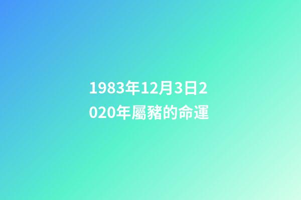 1983年12月3日2020年屬豬的命運 (1983年屬豬2023年運勢每月運勢男)-第1張-觀點-玄機派